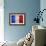 Flag Of France-Miro Novak-Framed Art Print displayed on a wall