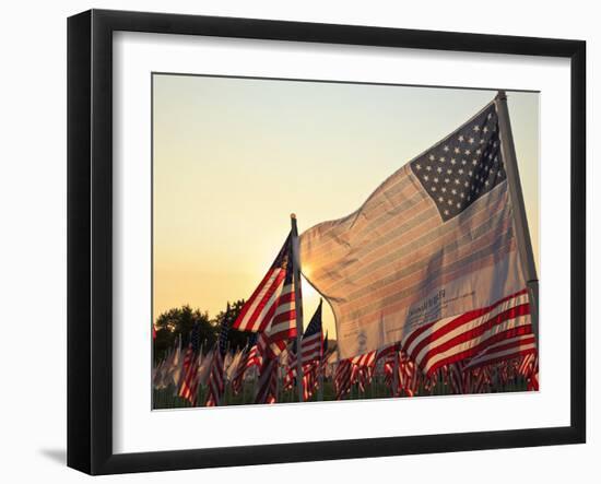 Flag of Honor and American Flags in Honor of the Ten Year Anniversary of 9/11, Salem, Oregon, Usa-Rick A. Brown-Framed Photographic Print