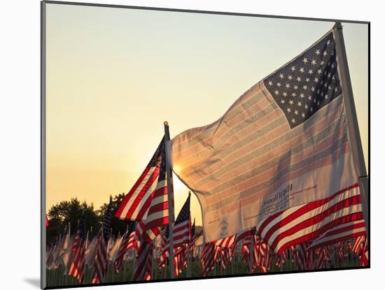 Flag of Honor and American Flags in Honor of the Ten Year Anniversary of 9/11, Salem, Oregon, Usa-Rick A. Brown-Mounted Photographic Print