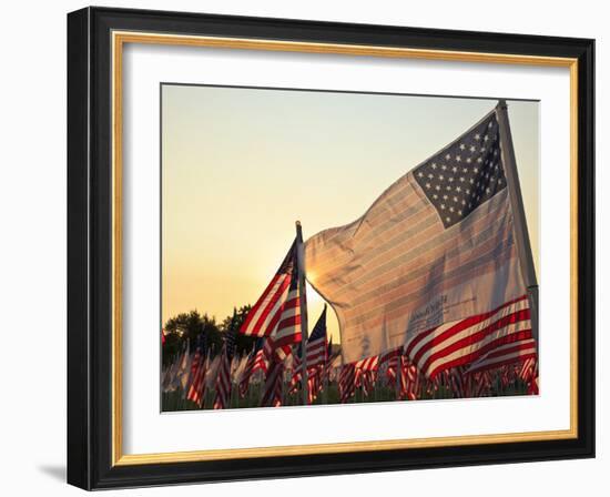 Flag of Honor and American Flags in Honor of the Ten Year Anniversary of 9/11, Salem, Oregon, Usa-Rick A. Brown-Framed Photographic Print