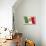 Flag of Italy-null-Art Print displayed on a wall