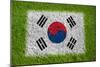 Flag of Korea on Grass-raphtong-Mounted Art Print