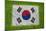 Flag of Korea on Grass-raphtong-Mounted Art Print