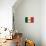 Flag of Mexico-null-Mounted Art Print displayed on a wall