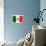 Flag of Mexico-null-Art Print displayed on a wall