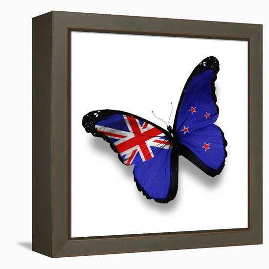 Flag Of New Zealand Butterfly, Isolated On White-suns_luck-Framed Stretched Canvas