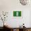 Flag of Nigeria on Grass-raphtong-Framed Art Print displayed on a wall