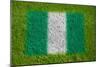 Flag of Nigeria on Grass-raphtong-Mounted Art Print