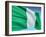 Flag Of Nigeria-bioraven-Framed Art Print