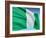 Flag Of Nigeria-bioraven-Framed Art Print