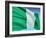 Flag Of Nigeria-bioraven-Framed Art Print