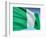 Flag Of Nigeria-bioraven-Framed Art Print