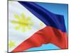 Flag Of Philippines-bioraven-Mounted Art Print