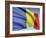 Flag Of Romania-bioraven-Framed Art Print