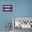 Flag Of Thailand-Miro Novak-Framed Stretched Canvas displayed on a wall