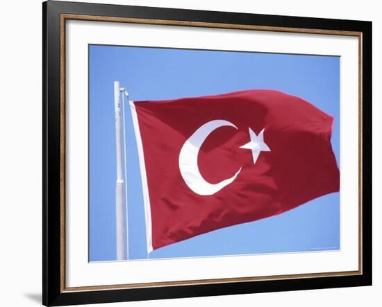 Flag of Turkey-Barry Winiker-Framed Photographic Print