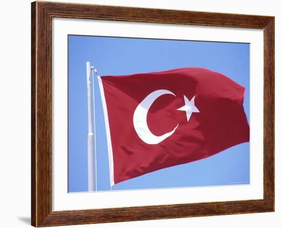 Flag of Turkey-Barry Winiker-Framed Photographic Print