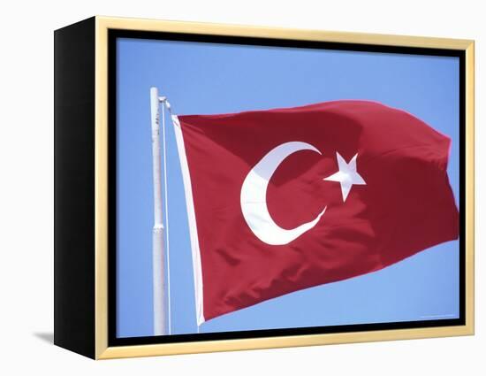 Flag of Turkey-Barry Winiker-Framed Premier Image Canvas