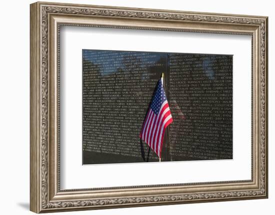Flag Vietnam Veterans Memorial-null-Framed Premium Giclee Print