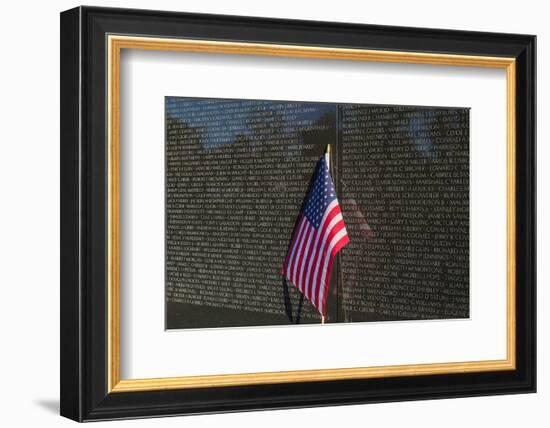 Flag Vietnam Veterans Memorial-null-Framed Premium Giclee Print