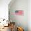 Flag with Poem-null-Framed Stretched Canvas displayed on a wall