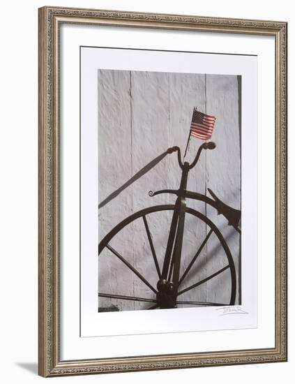 Flag-Harvey Edwards-Framed Collectable Print