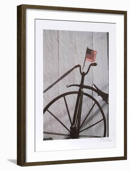 Flag-Harvey Edwards-Framed Collectable Print