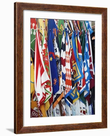 Flags and Banners, Siena, Tuscany, Italy, Europe-James Emmerson-Framed Photographic Print