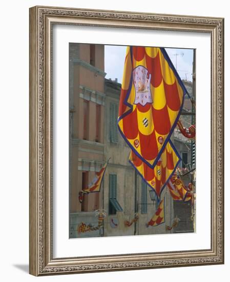 Flags and Lamps of the Chiocciola Contrada in the Via San Marco During the Palio, Siena, Italy-Ruth Tomlinson-Framed Photographic Print