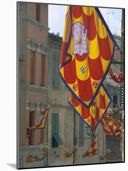 Flags and Lamps of the Chiocciola Contrada in the Via San Marco During the Palio, Siena, Italy-Ruth Tomlinson-Mounted Photographic Print