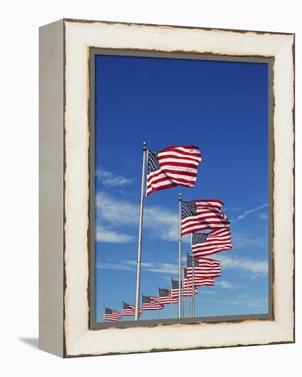 Flags at Washington Monument-David Papazian-Framed Premier Image Canvas