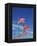 Flags at Washington Monument-David Papazian-Framed Premier Image Canvas