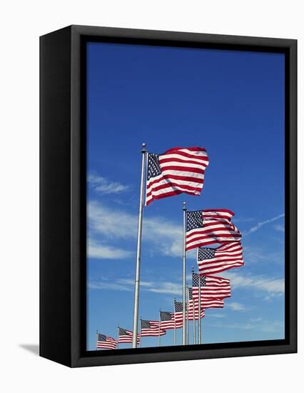 Flags at Washington Monument-David Papazian-Framed Premier Image Canvas