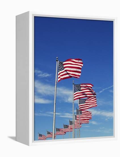Flags at Washington Monument-David Papazian-Framed Premier Image Canvas