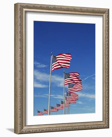 Flags at Washington Monument-David Papazian-Framed Photographic Print