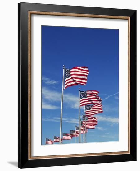 Flags at Washington Monument-David Papazian-Framed Photographic Print