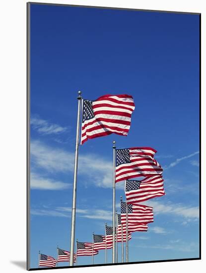 Flags at Washington Monument-David Papazian-Mounted Photographic Print