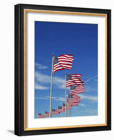 Flags at Washington Monument-David Papazian-Framed Photographic Print