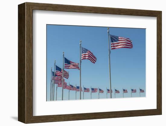 Flags by Washington Monument, Washington DC, Usa-Jim Engelbrecht-Framed Photographic Print