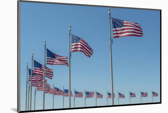 Flags by Washington Monument, Washington DC, Usa-Jim Engelbrecht-Mounted Photographic Print