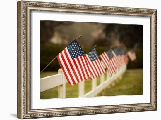 Flags I-Philip Clayton-thompson-Framed Photographic Print