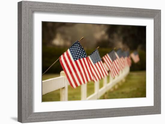 Flags I-Philip Clayton-thompson-Framed Photographic Print