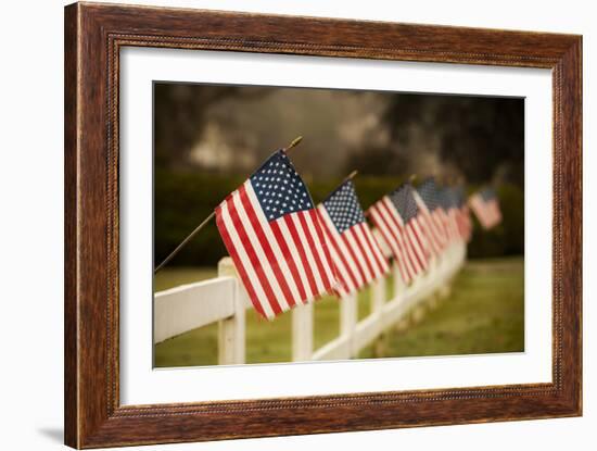 Flags I-Philip Clayton-thompson-Framed Photographic Print