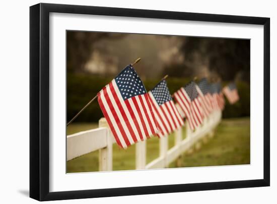 Flags I-Philip Clayton-thompson-Framed Photographic Print