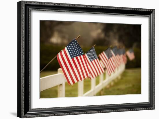 Flags I-Philip Clayton-thompson-Framed Photographic Print