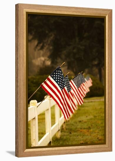 Flags II-Philip Clayton-thompson-Framed Premier Image Canvas