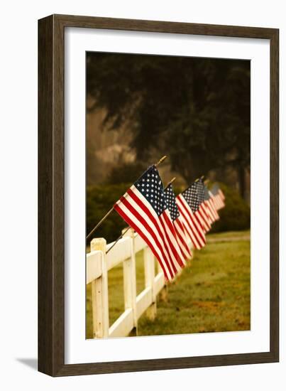 Flags II-Philip Clayton-thompson-Framed Photographic Print