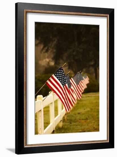 Flags II-Philip Clayton-thompson-Framed Photographic Print