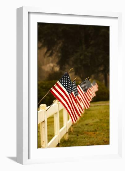 Flags II-Philip Clayton-thompson-Framed Photographic Print