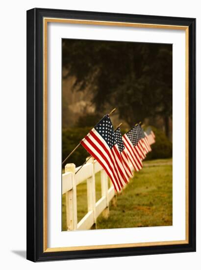 Flags II-Philip Clayton-thompson-Framed Photographic Print